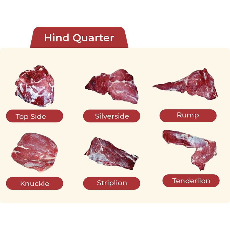 Hind Quarter portfolio illustration