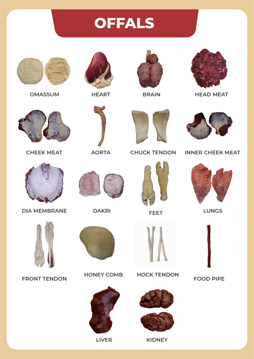 Offals portfolio illustration